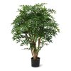 AnyConv.com ruscus deluxe n 110 cm 184511 1 1 2