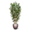 AnyConv.com Grote Kunstboom Bamboe Deluxe 4m Baq6GRDB70CB 1