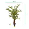 AnyConv.com areca kunstpalm deluxe 150 cm 170115 6 3
