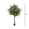 AnyConv.com appelboom giant 193127 6 4