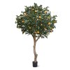 AnyConv.com sinaasappelboom deluxe giant 193027 1 4