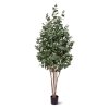 AnyConv.com 143118 Eucalyptus kunstboom 205 01 3