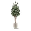 AnyConv.com 143118 Eucalyptus kunstboom 205cm in BalloonF451