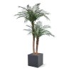 AnyConv.com Phoenix Kunstpalm deluxe 225cm pot5 1