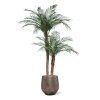 AnyConv.com Phoenix Kunstpalm deluxe 225cm pot4 1