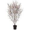 AnyConv.com 193915 Sakura bloesemboom 150 3
