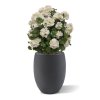 AnyConv.com geranium bol kunstplant 50cm uv creme pot 1