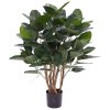 AnyConv.com 158010 Ficus Audrey 100