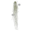 AnyConv.com 203312 tillandsia kunsthanger deluxe 120 maat 80 4