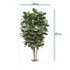 AnyConv.com lyrata kolom giant kunstboom deluxe 300cm sizing template