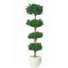 Ilex Modus Tree 220 cm Green V1105003