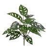 AnyConv.com 443003 Monstera Adansonii 30 01 2