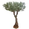 Olive Turtle Tree d 120 160 h 220 cm Green 1085044