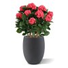 AnyConv.com hortensia uv kunstplant deluxe 80cm cerise combination image 7