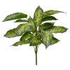 AnyConv.com 447004 Aglaonema boeket 40 4
