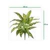 AnyConv.com aglaonema n kunstplant 40cm sizing template