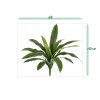 asplenium antiquum kunstvaren 40cm sizing template