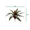 AnyConv.com calathea 30cm kunstplant groen rood sizing template