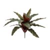 AnyConv.com 152103 calathea 30cm kunstplant groen rood 30 1