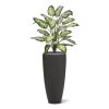 AnyConv.com dieffenbachia kunstplant 75cm deluxe combination image 5