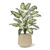 AnyConv.com dieffenbachia kunstplant 75cm deluxe combination image 3