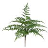AnyConv.com 400204 pteris kunst varen 40cm 4