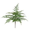 AnyConv.com 400204 pteris kunst varen 40cm 1