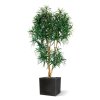 AnyConv.com draceana reflexa xl 190 cm groen kunstboom 153019 5 4
