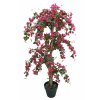 Bouganvillea Multistep 180 cm Fuchsia 1108F10