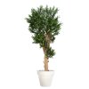 Pine Taxus Smart 180 cm Green V810513
