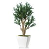 Pine Taxus Robustina 90 cm Green V8105012