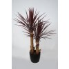 Yucca Linearis Set x 2 100 cm Burgundy 4231B04