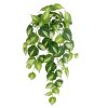 AnyConv.com 213206 philodendron kunst hanger bright brasil 60cm 2