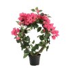 AnyConv.com 195004 bougainvillea kunstplant