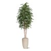 AnyConv.com ficus exotica kunstboom deluxe 300cm groen combination image 8