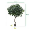 AnyConv.com eikenboom giant deluxe 300 cm 131030 8 1 4(1)