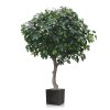 AnyConv.com eikenboom giant deluxe 300 cm 131030 4 4(1)