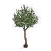 AnyConv.com 143028 Eucalyptus XL 280cm 0nkatb