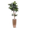 AnyConv.com 102421 Lyrata Kunstboom 210cm Baq 6OPSP48RG
