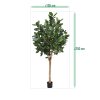 AnyConv.com ficus audrey kunstboom deluxe 250cm sizing template