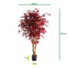 AnyConv.com acer burgundy 160 cm kunstboom 153316 6 4
