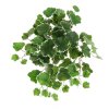 AnyConv.com 213805 saxifraga kunsthanger 50cm bont 1