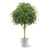 AnyConv.com ficus exotica giant 290 kunstboom fr 112329fr 2 3