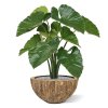 alocasia calidora kunstboeket 70 cm 152007 5 3
