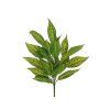 EVERGREENS 80 450685