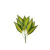 EVERGREENS 80 450678