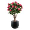 AnyConv.com rhododendron kunstplant deluxe 115cm cerise combination image 6