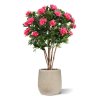 AnyConv.com rhododendron kunstplant deluxe 115cm cerise combination image 3