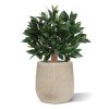 AnyConv.com laurierbol kunstplant 45cm uv in pot combination image 1