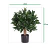 AnyConv.com laurierbol kunstplant 45cm uv in pot sizing template